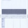 IRIS SELF SEAL PAYSLIPS
